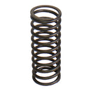Valve Spring