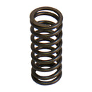 Valve Spring