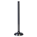 Intake / Exhaust Valve