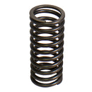 Valve Spring