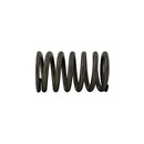 Valve Spring