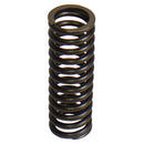 Valve Spring