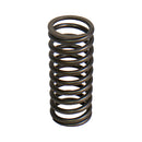 Valve Spring
