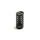 Valve Spring