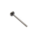 Exhaust Valve