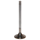 Intake Valve