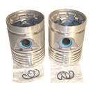 Rebore Kit - Std