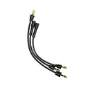 Spark Plug Wire Set (Electronic)