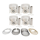 Rebore Kit - .040