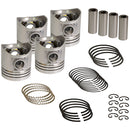 Rebore Kit - .020