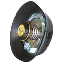 Radiator Cap RW0021-82 for Tractor Caps