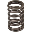Valve Spring International 3055060R1